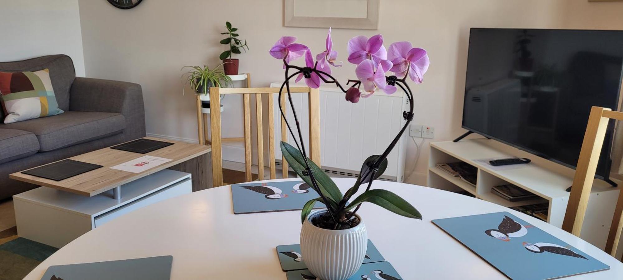 Heart Of Inverness-City Apartment מראה חיצוני תמונה